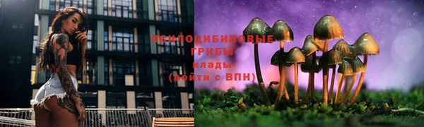 трава Алексин