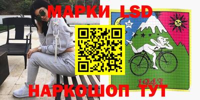шишки Абакан