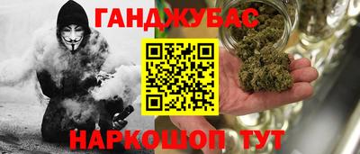 шишки Абакан