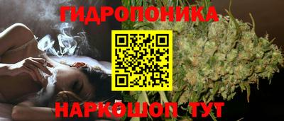 прущие крисы Абинск