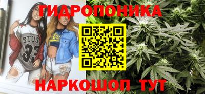 шишки Абакан