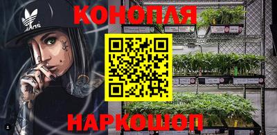 шишки Абакан