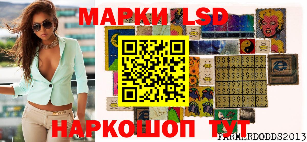 Прохладный  Марки NBOMe 1,5мг  Вход с VPN  закладка  Марки NBOMe 1,8мг 